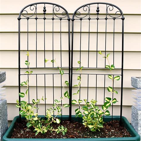 Sunnydaze 32 Durable Metal Wire Traditional Garden Trellis For Plants