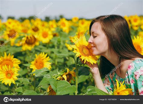 Brunette Girl Sniffing A Sunflower In The Field Stock Photo By