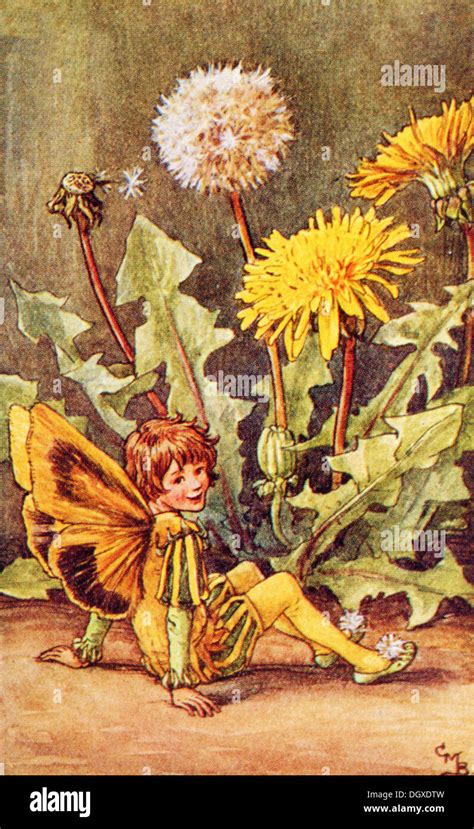 Flower Fairies Illustration By Cicely Mary Barker The Dandelion Fairy