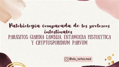 Par Sitos Giardia Lamblia Entamoebahistolytica Y Cryptosporidium