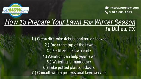 How To Prepare Your Lawn For Winter Season In Dallas Tx Gomow