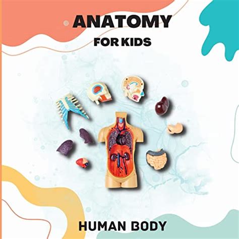 Human Body Anatomy For Kids An Introduction To The Human Body For Kids