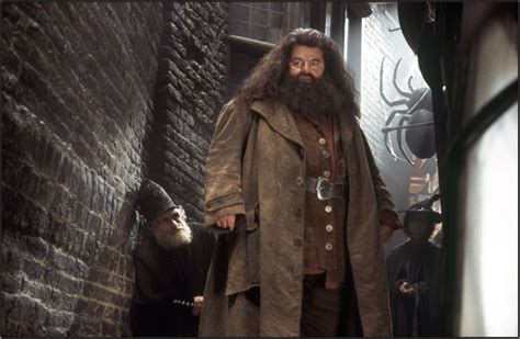 How To Make A Rubeus Hagrid Costume As Seen In The Harry Potter Movies