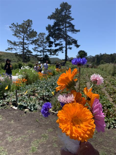 Tom petty, somewhere you feel free: Half Moon Bay/Coastside Chamber of Commerce's Farm, Fish ...