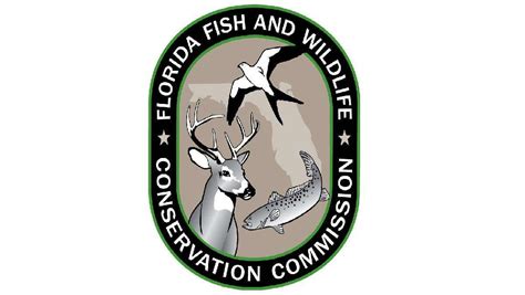 Conservation And The Role Of The Florida Fish And Wildlife Commission