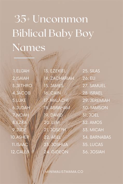 65 Unique Biblical Boy Names With Meanings 2023