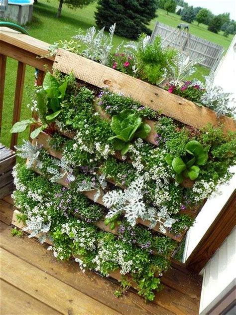 Creating A Vertical Garden And Flower Diy From Euro Pallets