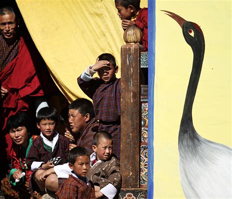 Some Shots Taken At The Black Neck Crane Festival Bhutan William