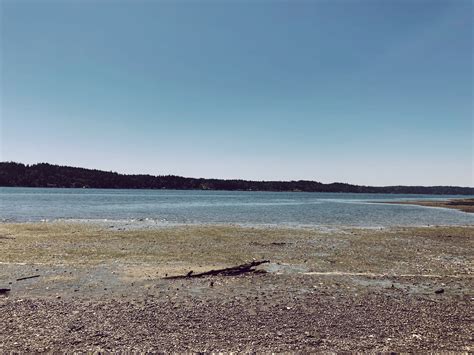 Belfair State Park Review - Washington State — hatchet & lantern