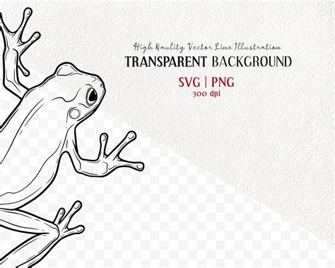 Tree Frog Svg Clipart Bundle Frog Vector Drawings Green Etsy