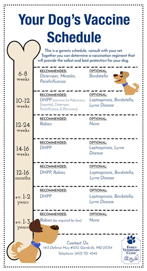 Dog Vaccination Schedule Examples And Forms