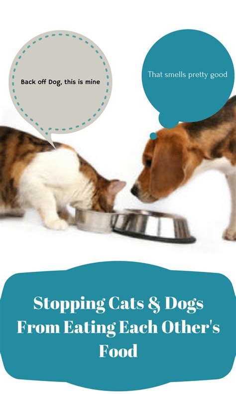 In 1988, microsoft manager paul maritz sent brian valentine, test manager for microsoft lan manager, an email titled eating our own dogfood, challenging him to increase internal usage of the company's product. Cat Health: When The Dog Eats The Cat Food