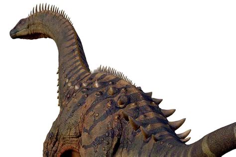 Long Neck Dinosaur With Spikes On Its Back Spiky Armored Sauropods
