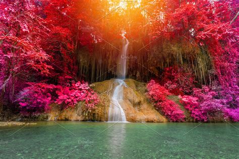 Beautiful Waterfall In Rainforest High Quality Stock Photos