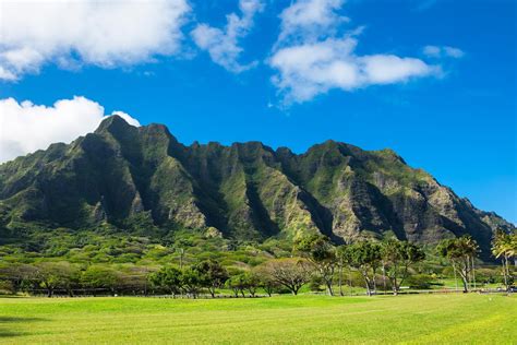 5 Of Hawaiis Best Jungle Experiences Wanderlust