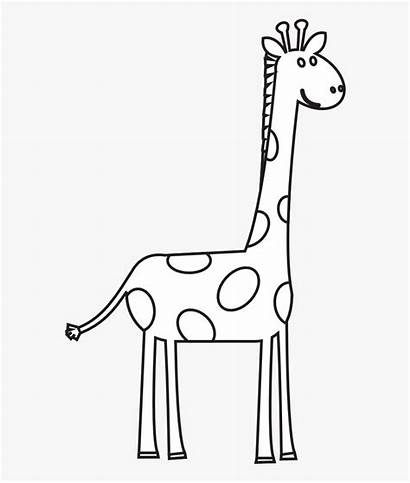 Giraffe Clipart Clip Transparent Clipartkey