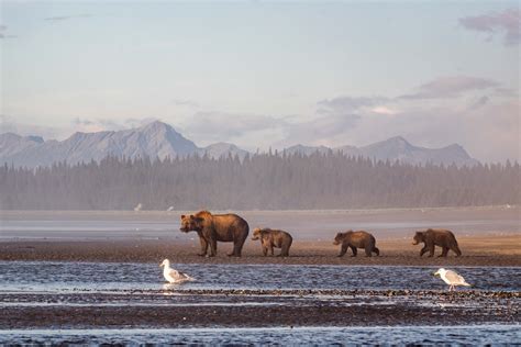 3 Ways To Explore Lake Clark National Park In Alaska
