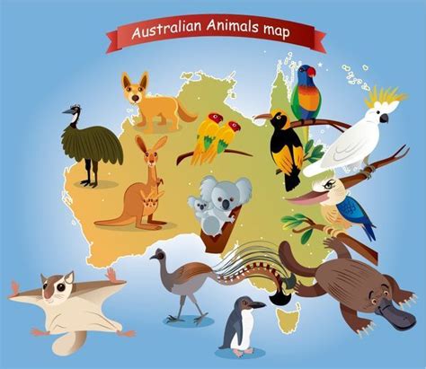 In order to get animals out of your walls in this case, you'll have to cut a hole in the wall, such as seen below in the photo. Australian Animals Map #14637337 Framed Photos, Wall Art ...