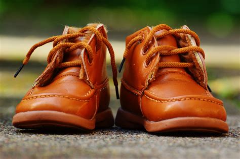 Free Images Cute Orange Brown Close Up Footwear Macro