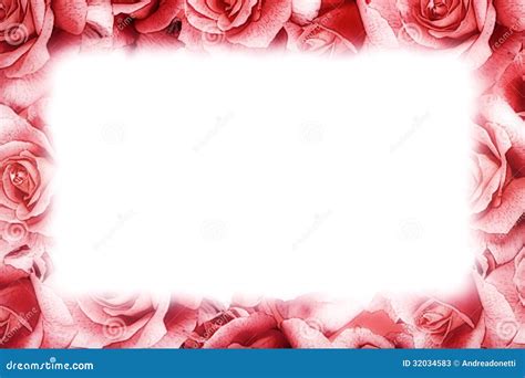 Pink Rose Frame Stock Photos Image 32034583
