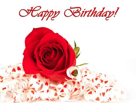 We did not find results for: Happy Birthday Card with Red Rose | Gallery Yopriceville ...