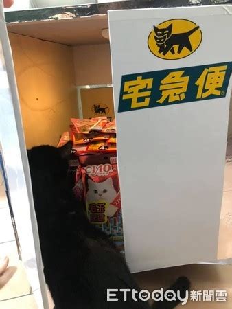 Generate unlimited free logo designs and start making your logo! 巧手爸神還原「黑貓宅急便」 「董事長」親自開車送貨 | ETtoday寵物雲 | ETtoday新聞雲