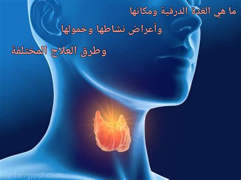 ما هي الغدة الدرقية ومكانها وأعراض نشاطها وخمولها وطرق العلا