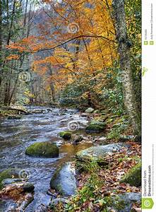 Autumn, Stream, With, Mossy, Rocks, Stock, Photo