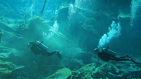 Cenote Diving Scuba Laura A Cenote English Sɨˈnoʊtiː Or Sɛˈnoʊteɪ Spanish Plural