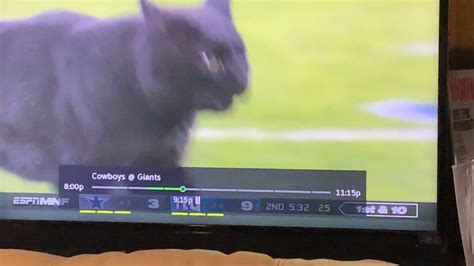 Black Cat Runs Onto Field During 2019 Mnf Cowboys At Ny Giants Game