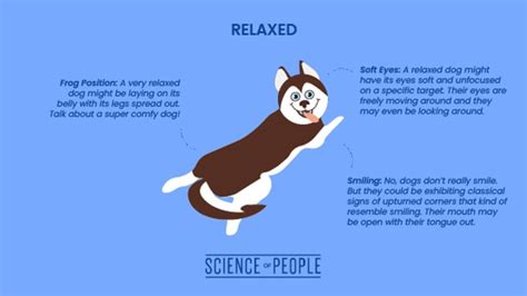 Dog Body Language How To Speak Canine Science Of People