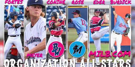 Blue Wahoos Organization Stars