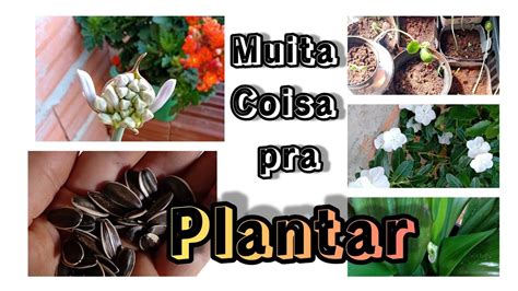 Espero Que Dê Tudo Certo