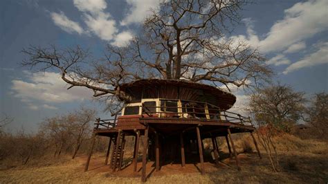 Tarangire Treetops Elewana Lodges Tanzania Odyssey
