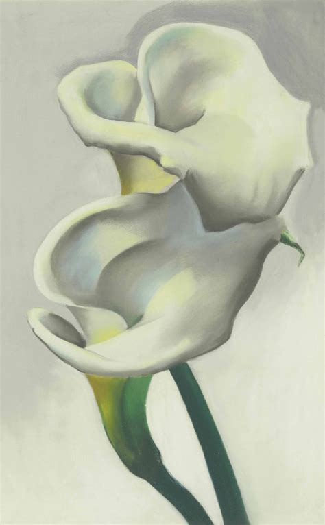 Georgia O Keeffe 1887 1986 Two Calla Lilies Together Christie S