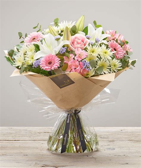 Check spelling or type a new query. Same day delivery available Click and Collect available ...