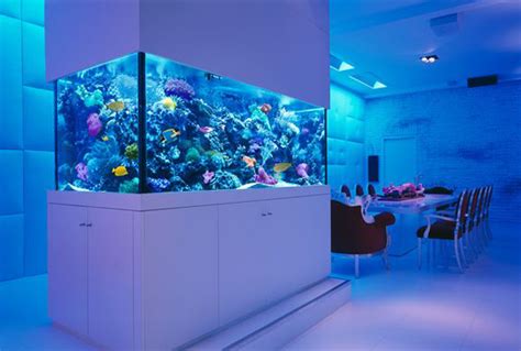 20 Amazing Aquarium Wall Dividers For Home And Office