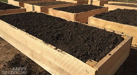 The Best Soil For A Raised Garden Bed Healthy Soil Equals Healthy Plants