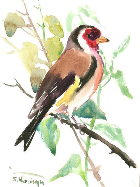 European Goldfinch Art Painting Original Watercolor Bird