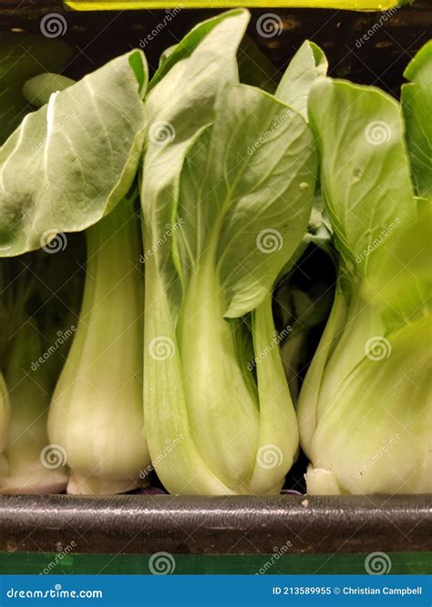 Baby Bok Choy In Produce Section Of Supermarket Stock Image Image Of