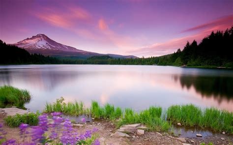 Landscape Mountains Sunset Flowers Forest Image