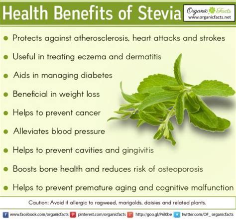Stevia Benefits Health Benefits Healing Food Healing Herbs Getting