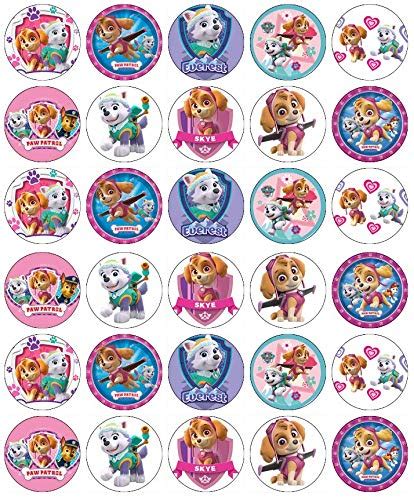 Buy 30 Paw Patrol Skye Everest Cupcake Toppers Edible Wafer Paper Fairy