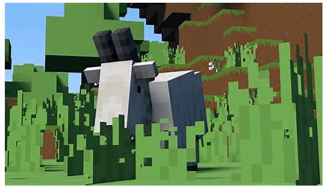 what do goats in minecraft eat