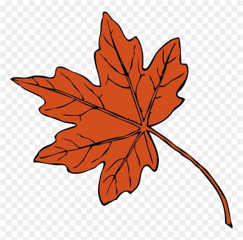 Fall Drawing Autumn Leaves Maple Leaf Clipart Png Download
