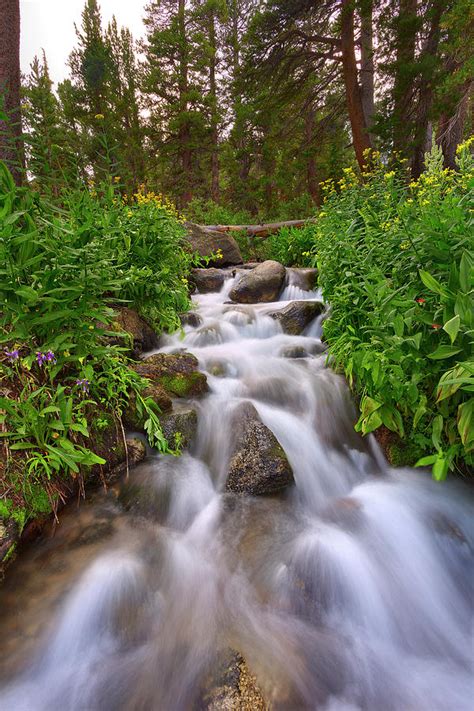 Forest Cascade Photograph By Brian Knott Photography Fine Art America