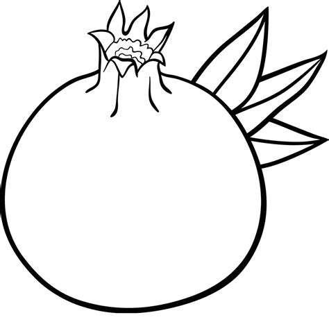 Pomegranate Fruit Coloring Page Free Printable Coloring Pages