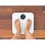 Body Fat Scale Accuracy Do They Work And What Measure