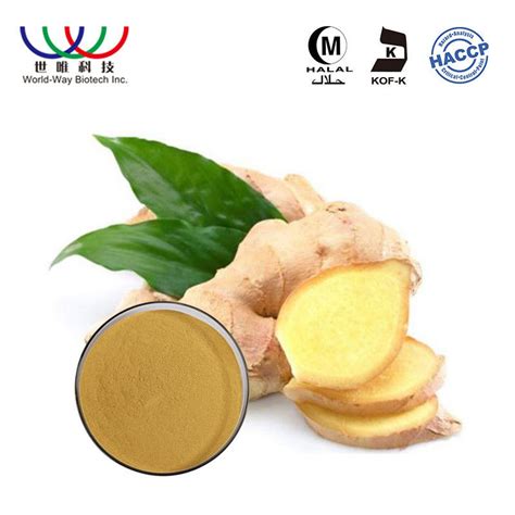 Ginger Root Pure Plant Extract Food Grade Powder With Gingerols 5 20