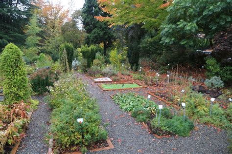 The UW Medicinal Herb Garden: More than just a pretty space | Science ...